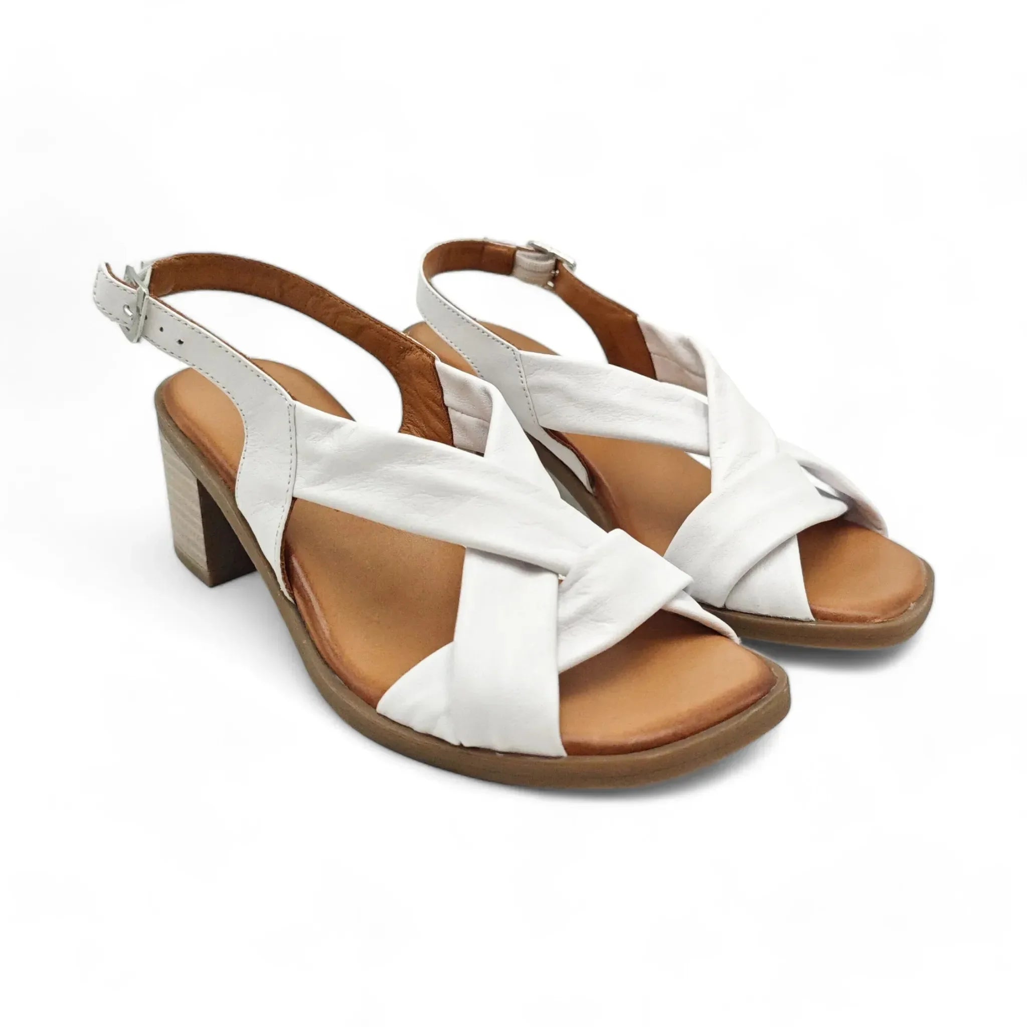 Coconut 2131 bela pogled spreda