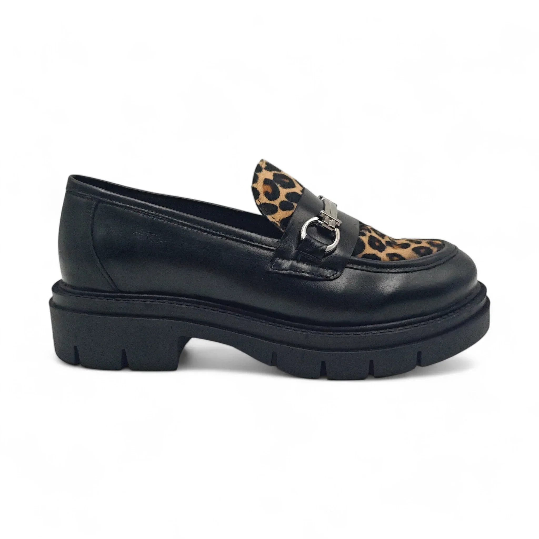 Florida 5902 crni leopard pogled desno