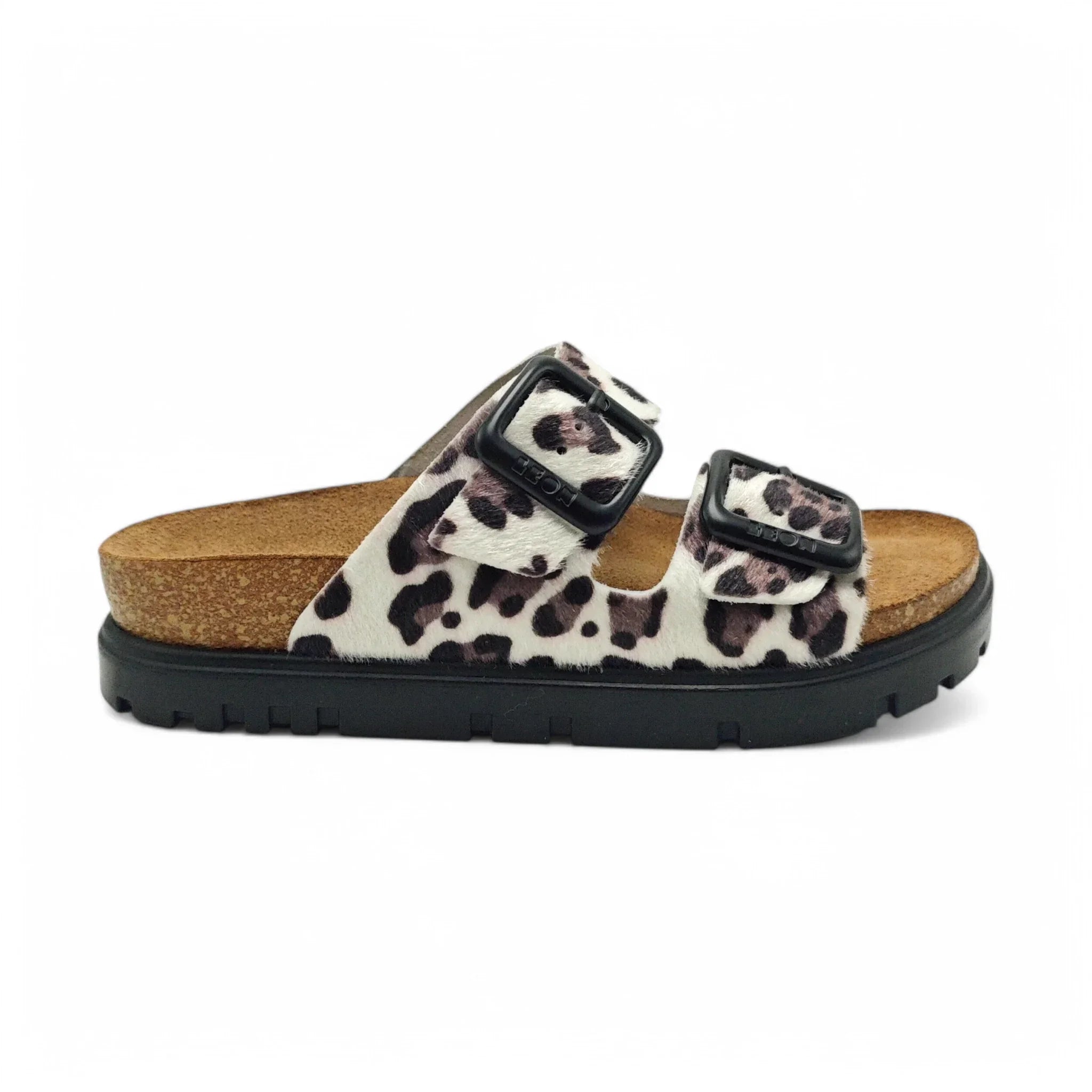 Leon 6013 beli leopard pogled desno