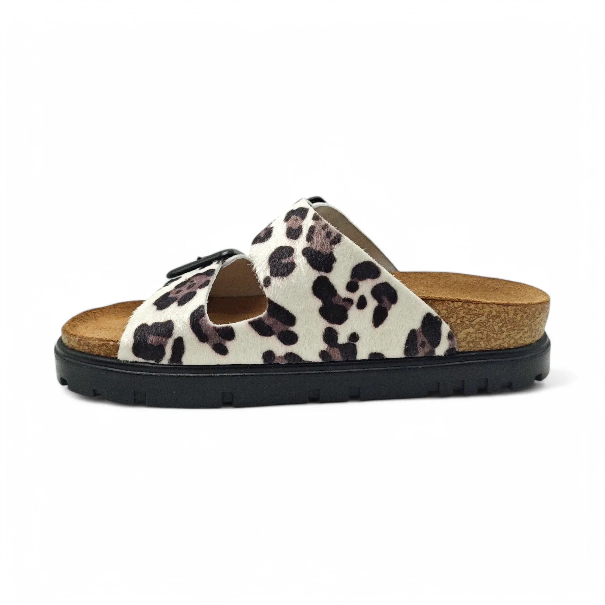 Leon 6013 beli leopard pogled levo