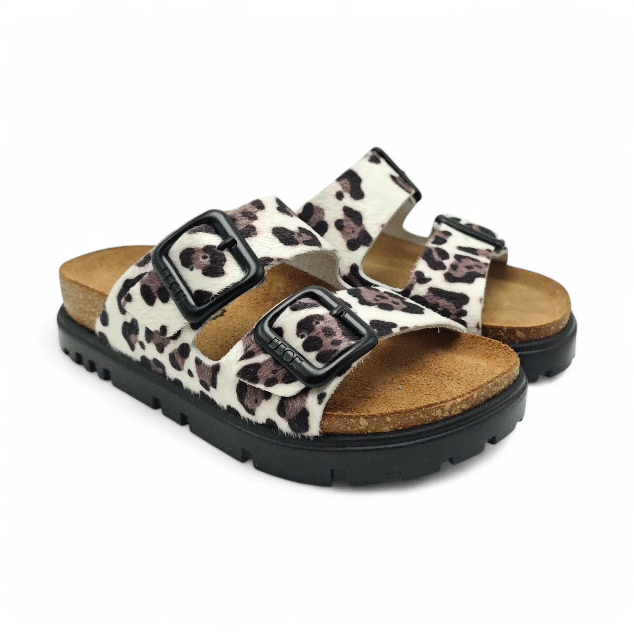 Leon 6013 beli leopard pogled spreda
