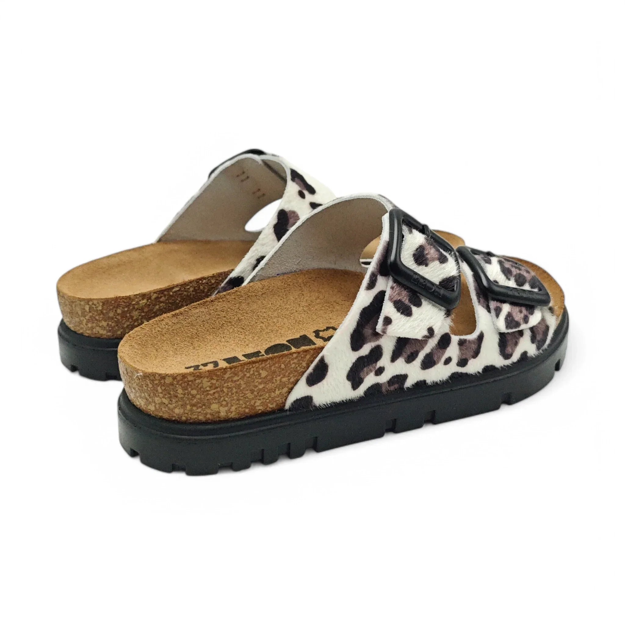 Leon 6013 beli leopard pogled straga