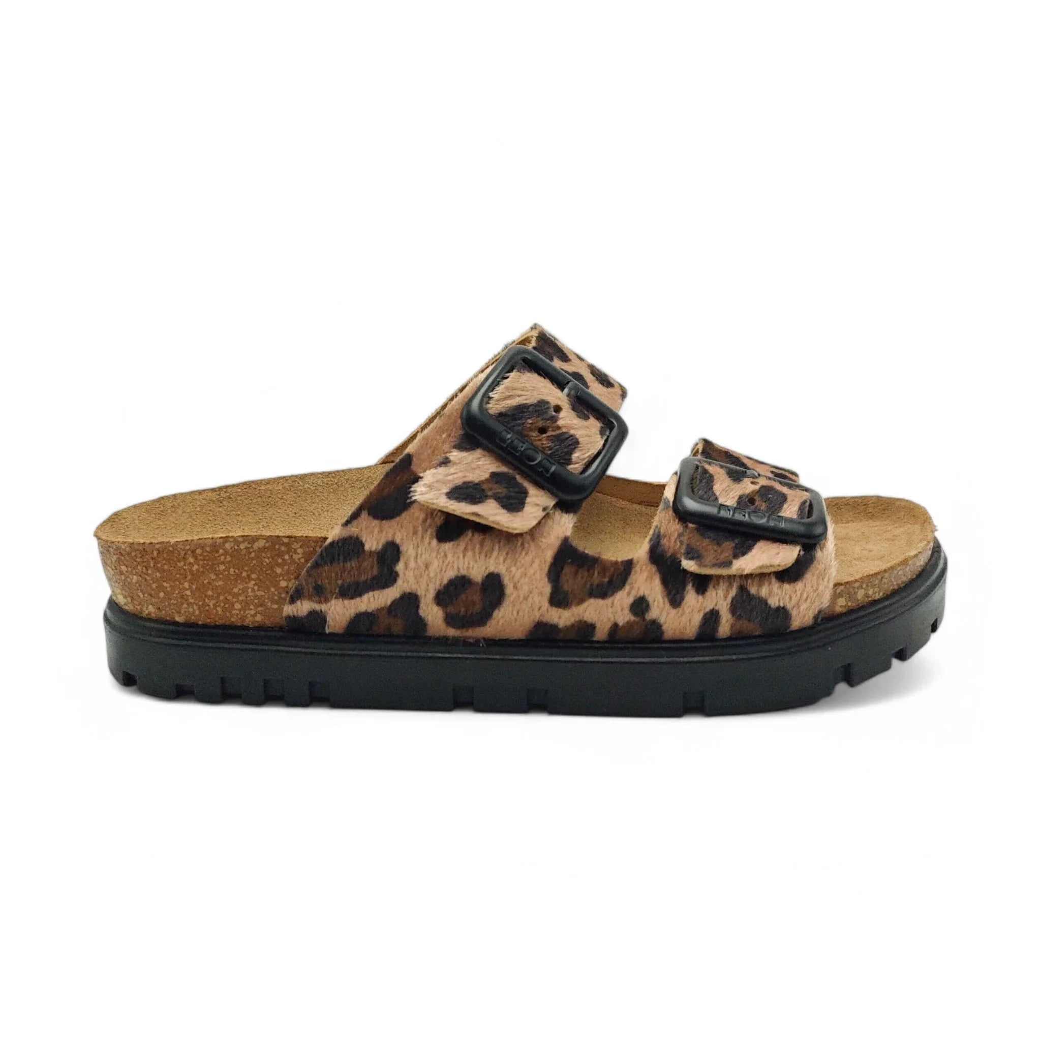 Leon 6013 leopard pogled desno
