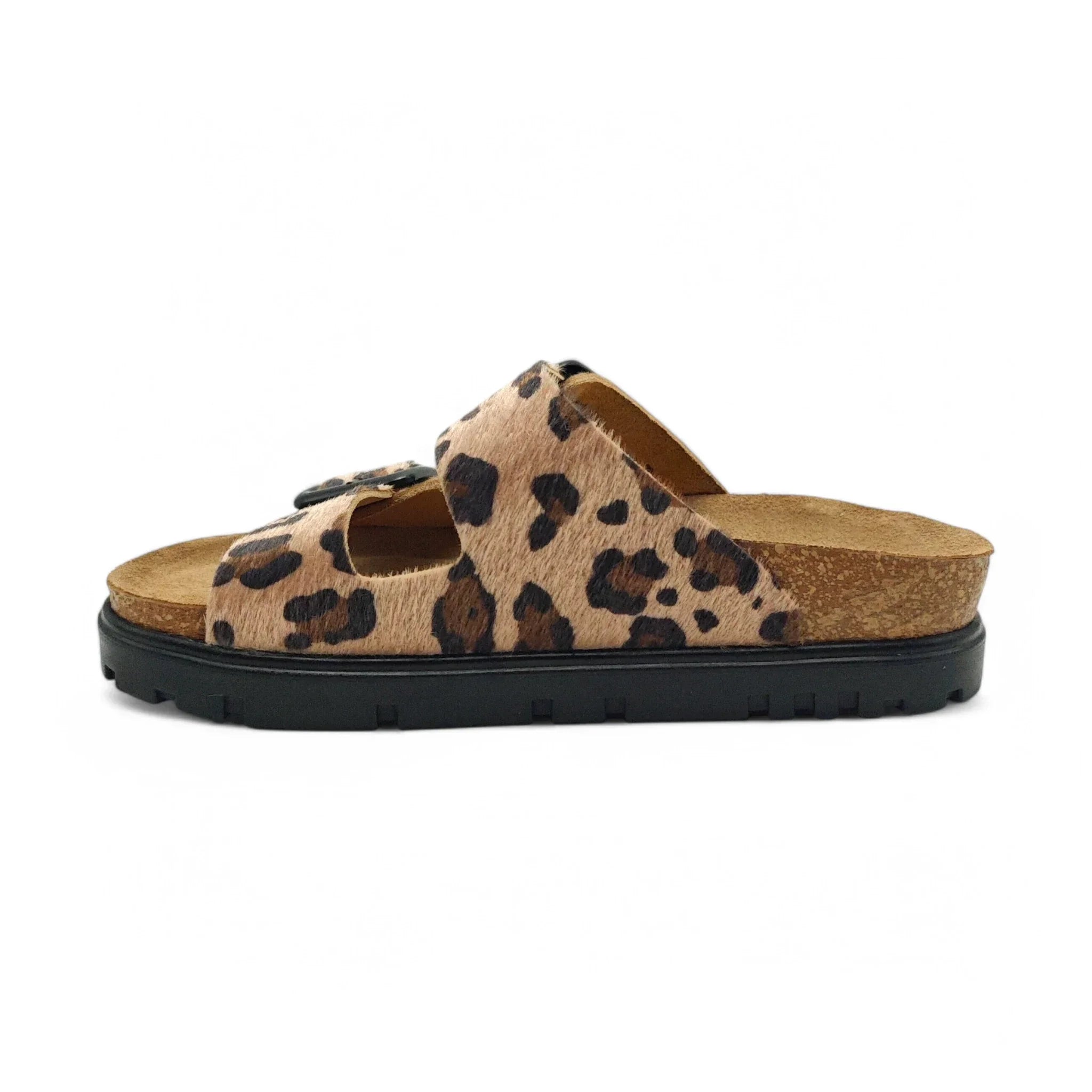 Leon 6013 leopard pogled levo