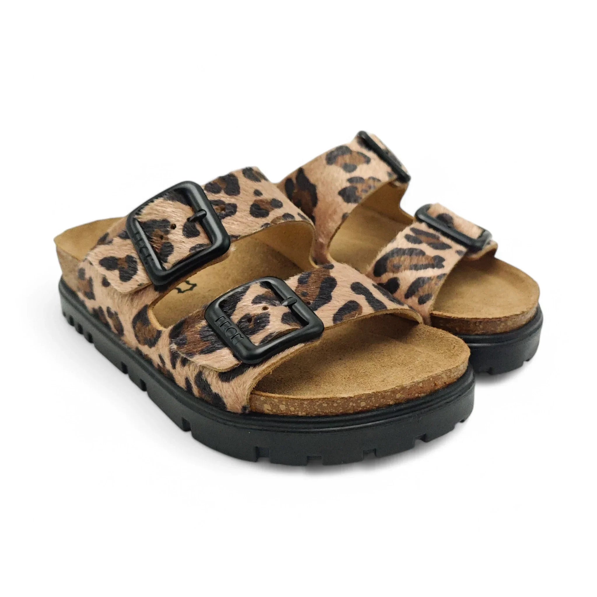 Leon 6013 leopard pogled spreda