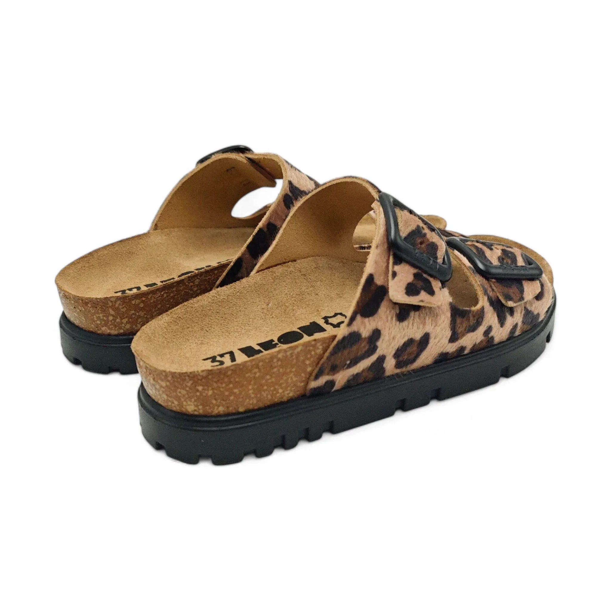 Leon 6013 leopard pogled straga