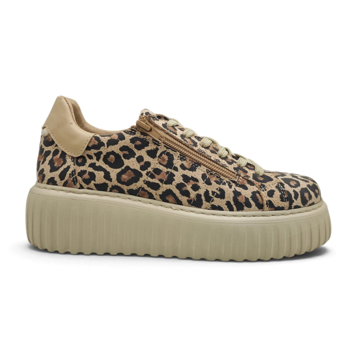 Moda Pelle 15550 smeđi leopard pogled desno #Boja_smeđi leopard