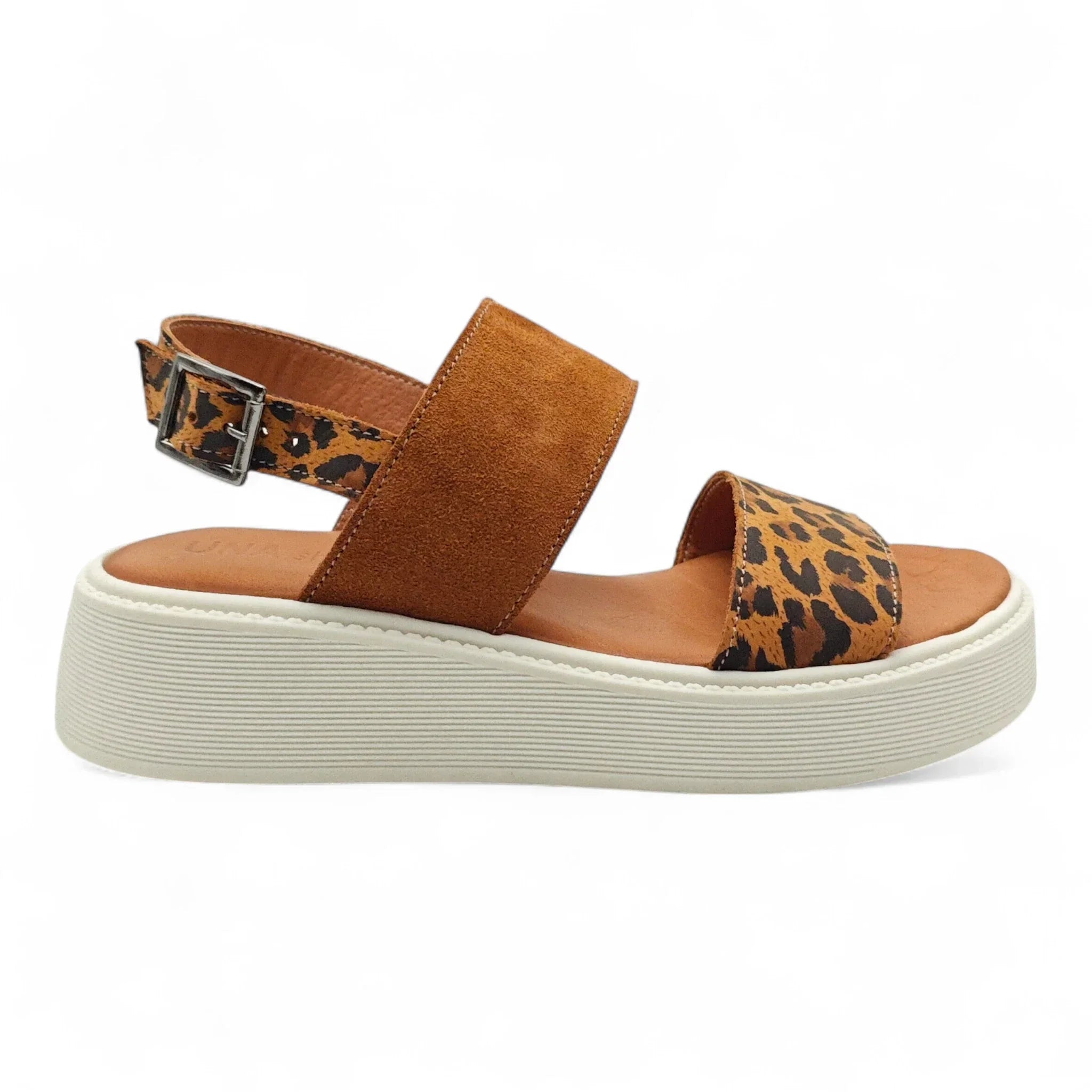 Una 7011714 smeđi leopard pogled desno