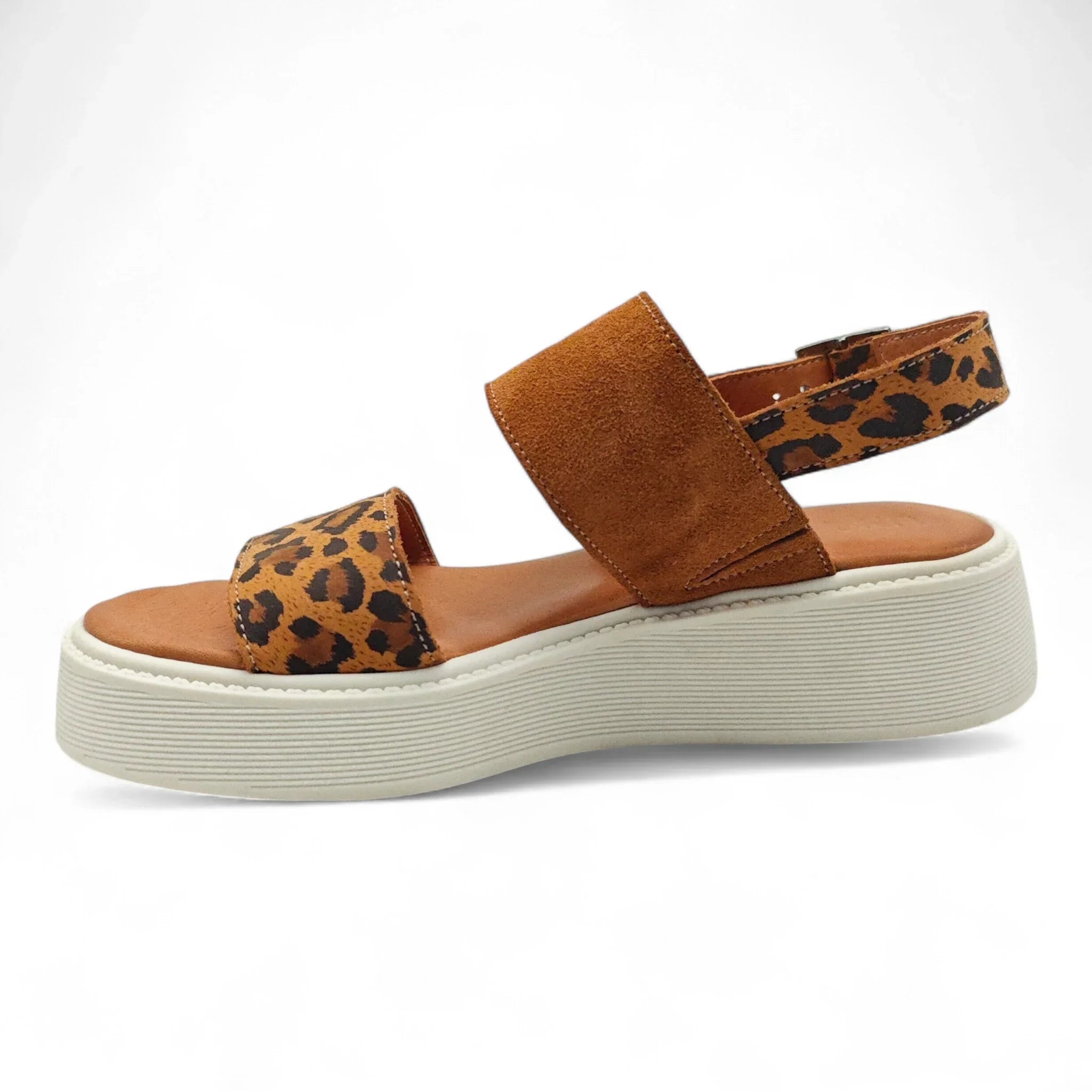 Una 7011714 smeđi leopard pogled levo