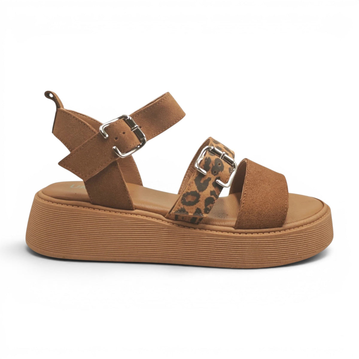Una 7011721 smeđi leopard pogled desno