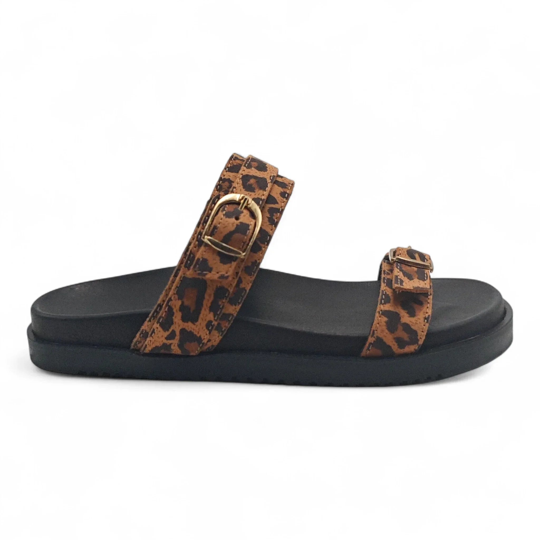 Una 701249 smeđi leopard pogled desno