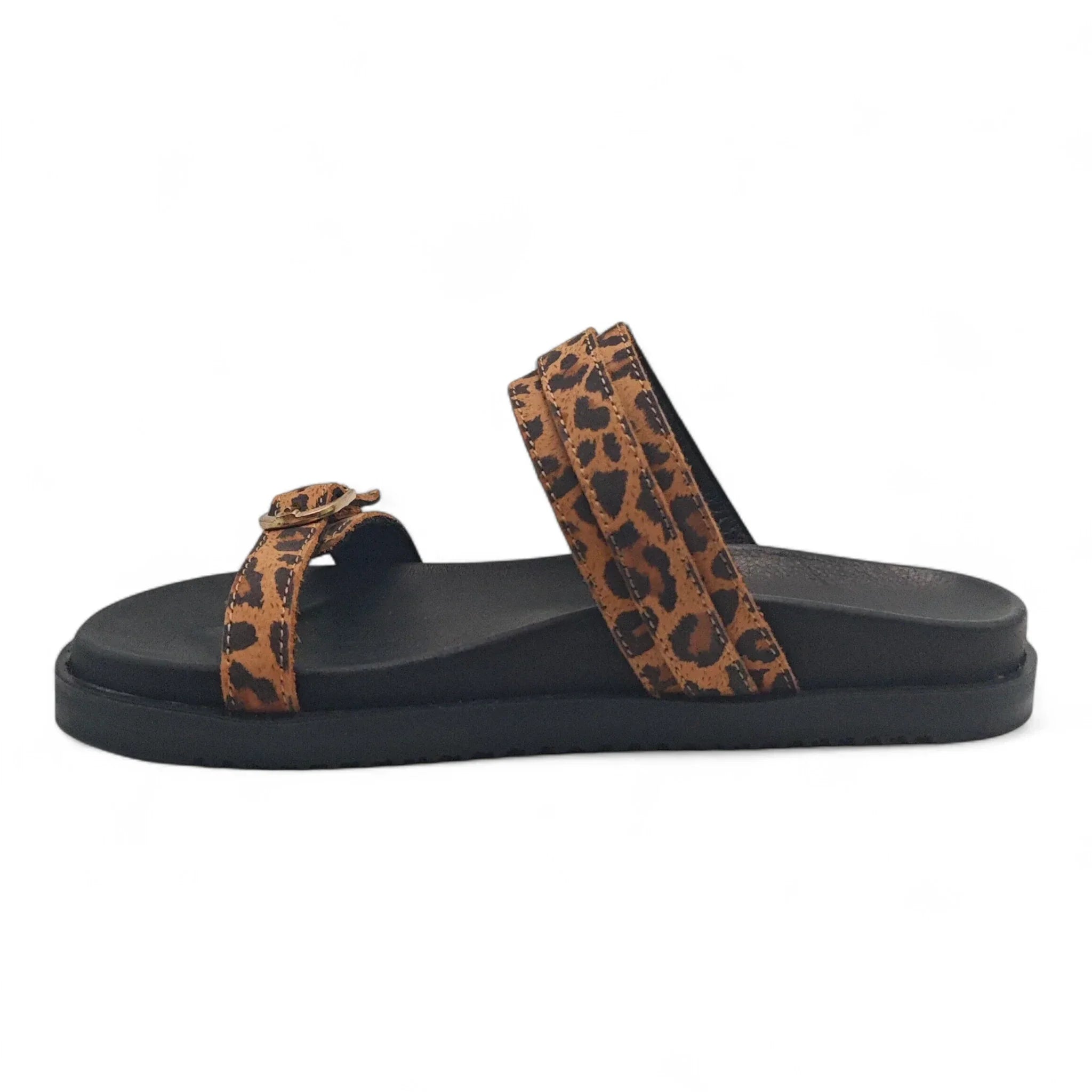 Una 701249 smeđi leopard pogled levo