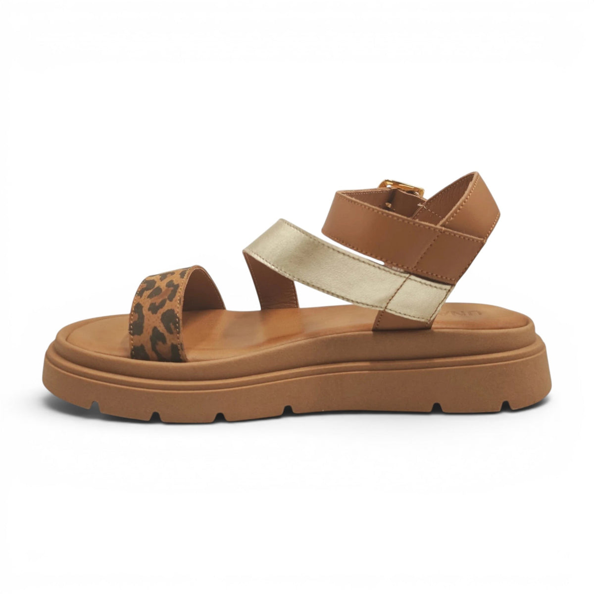 Una 701368 smeđi leopard pogled levo