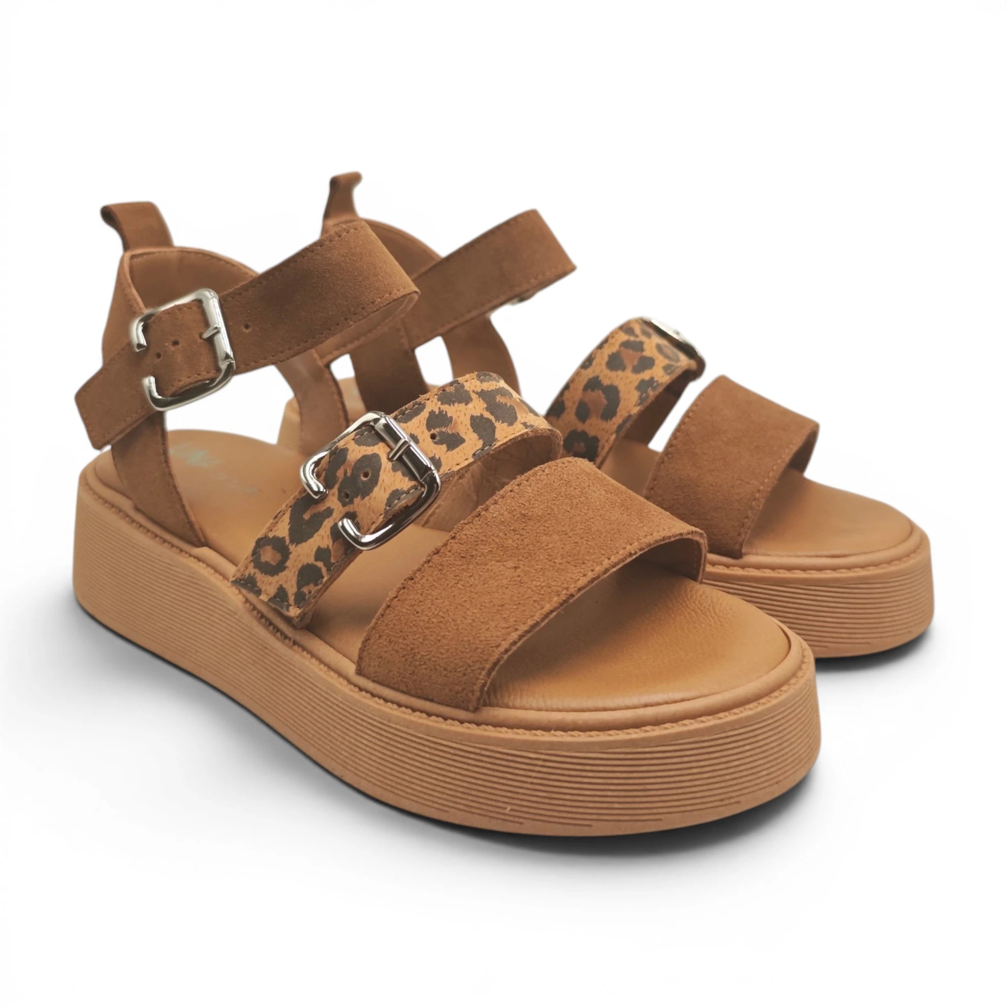 Una 7011721 leopard pogled spreda