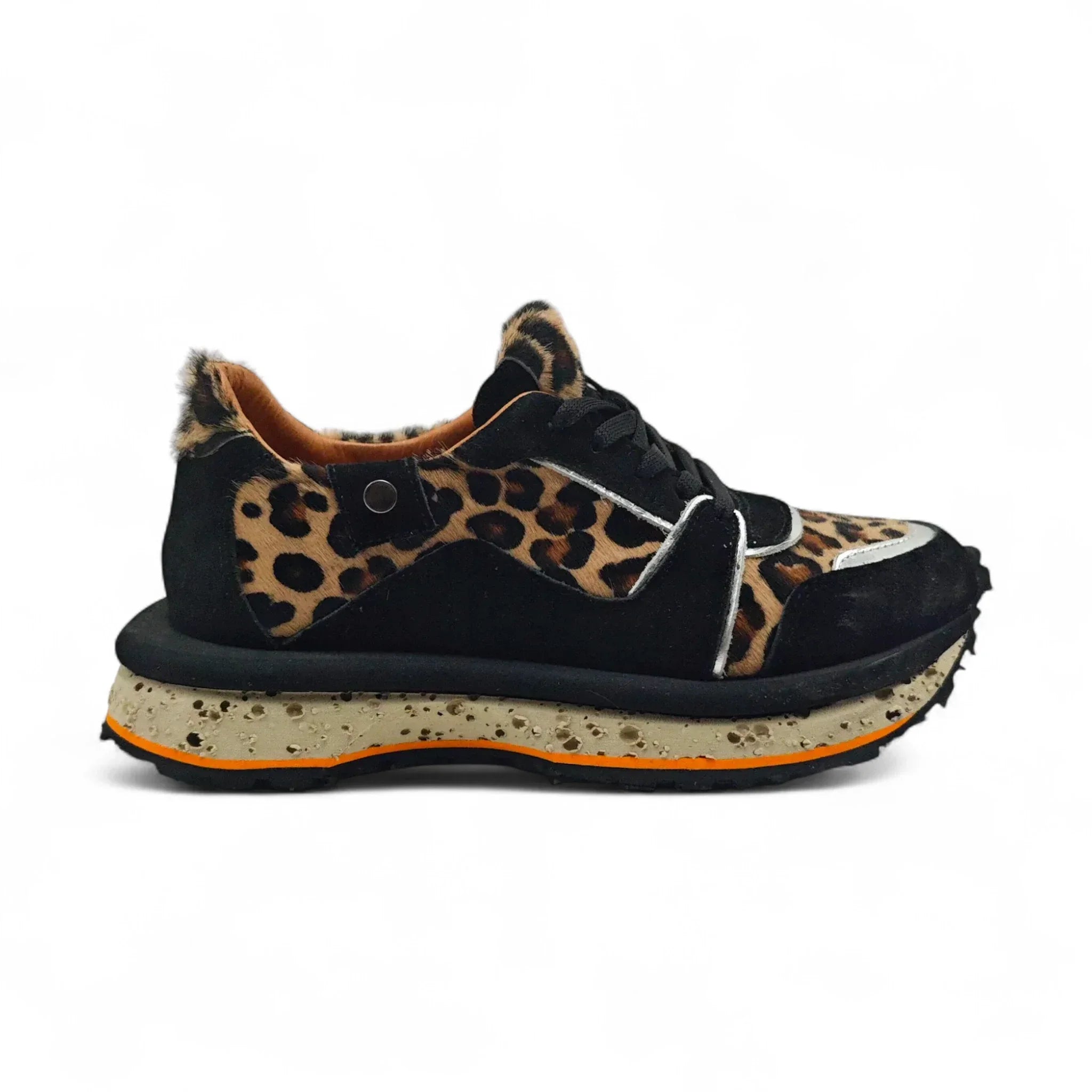 Florida 239800 smeđi leopard pogled desno