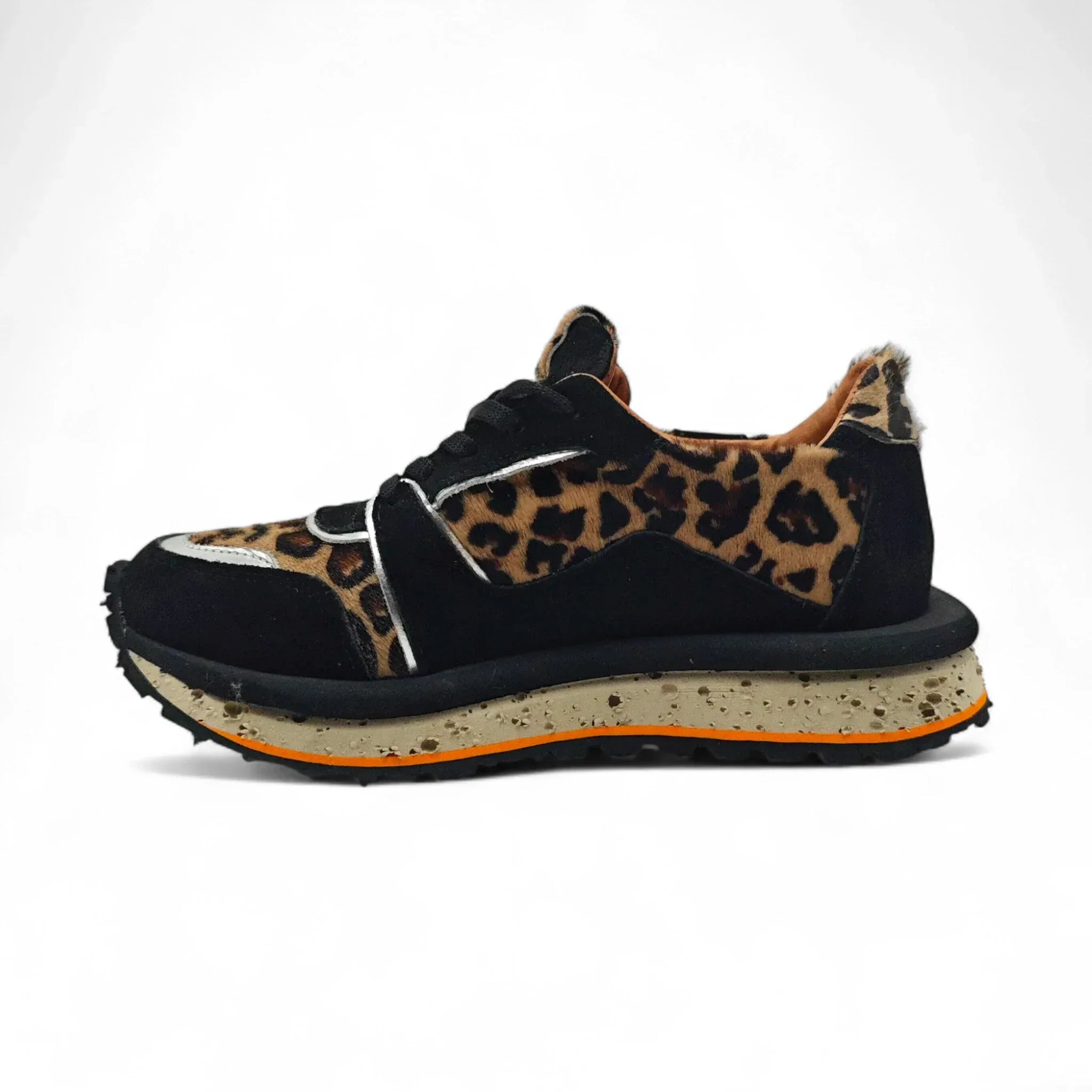 Florida 239800 smeđi leopard pogled levo