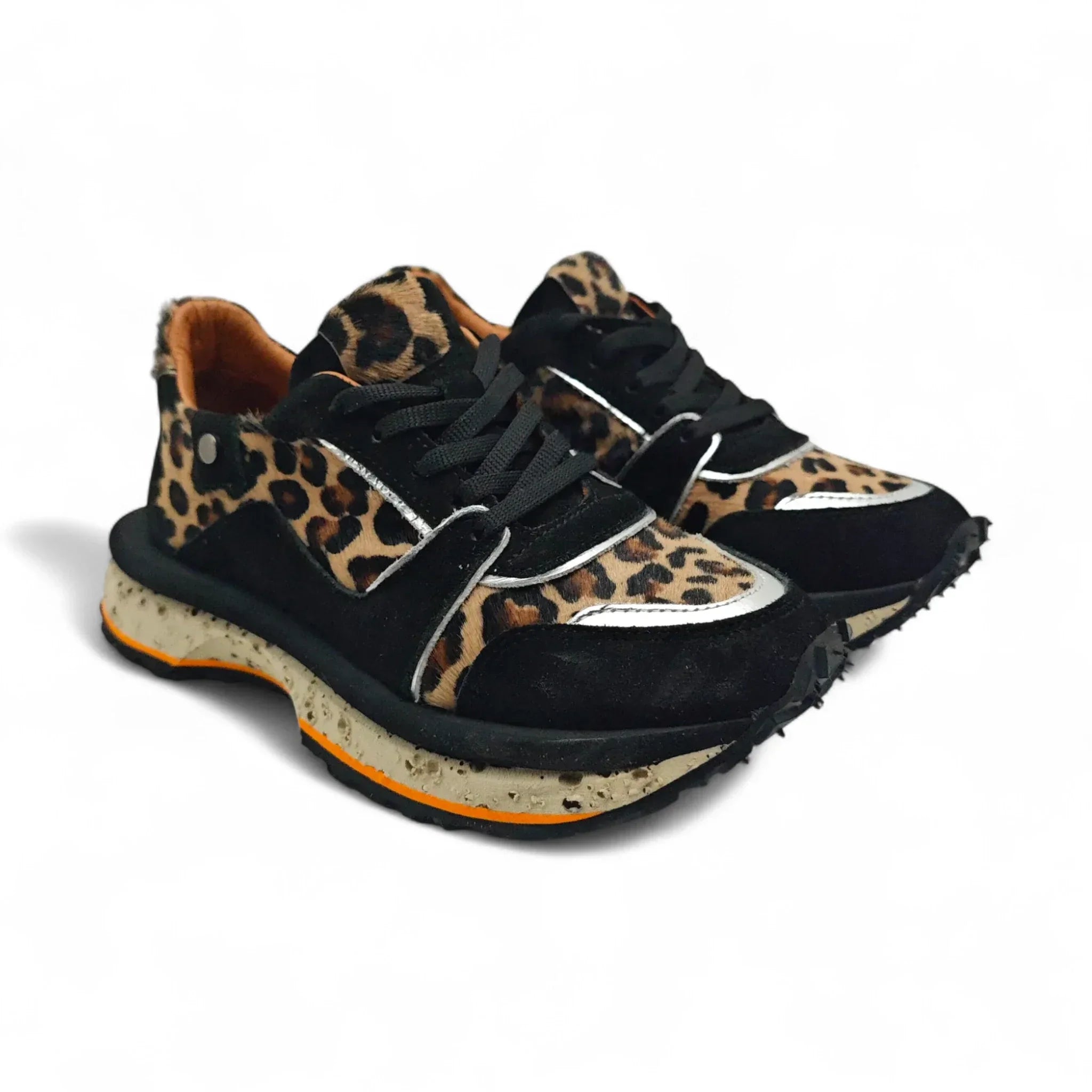 Florida 239800 smeđi leopard pogled spreda