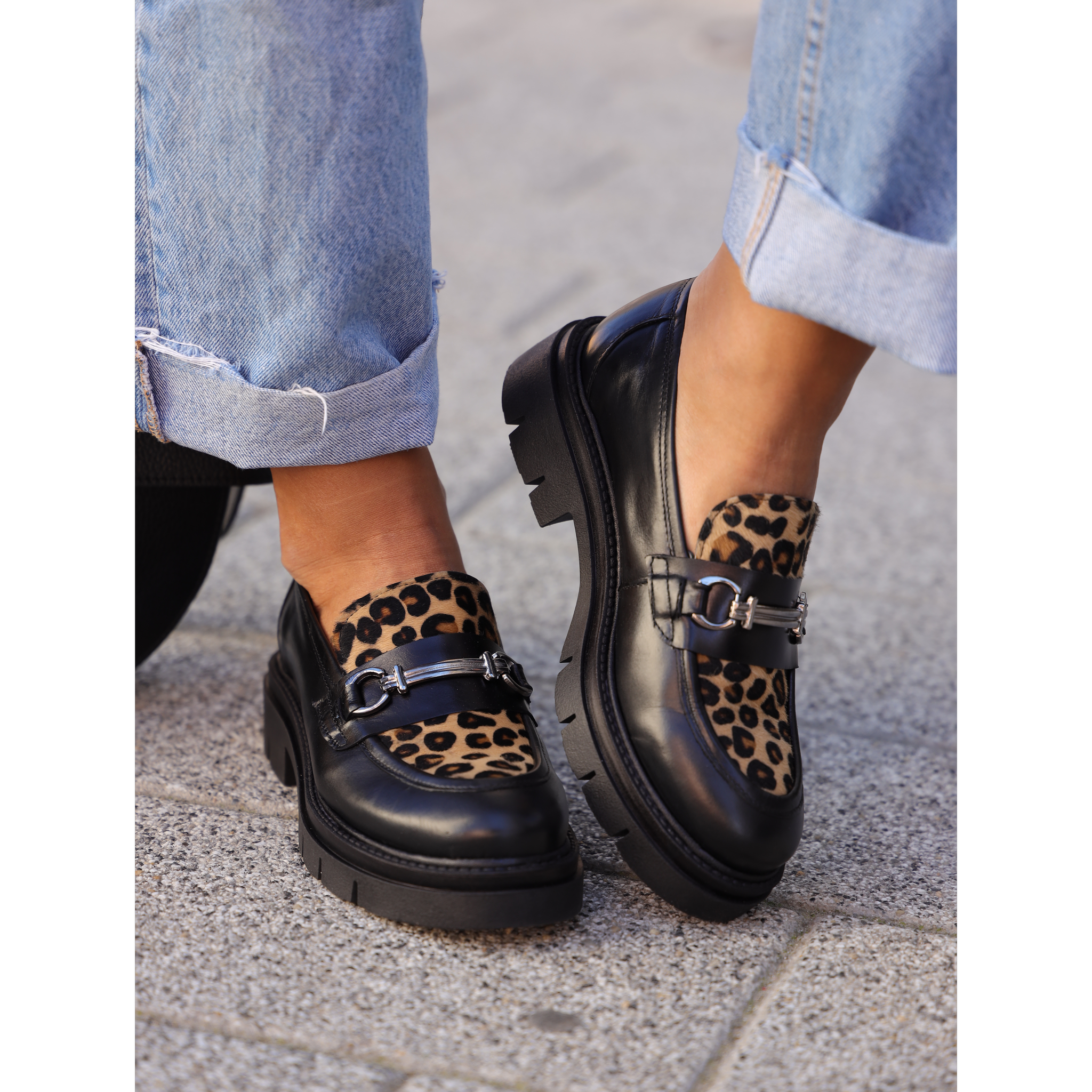 Florida 5902 crni leopard on foot