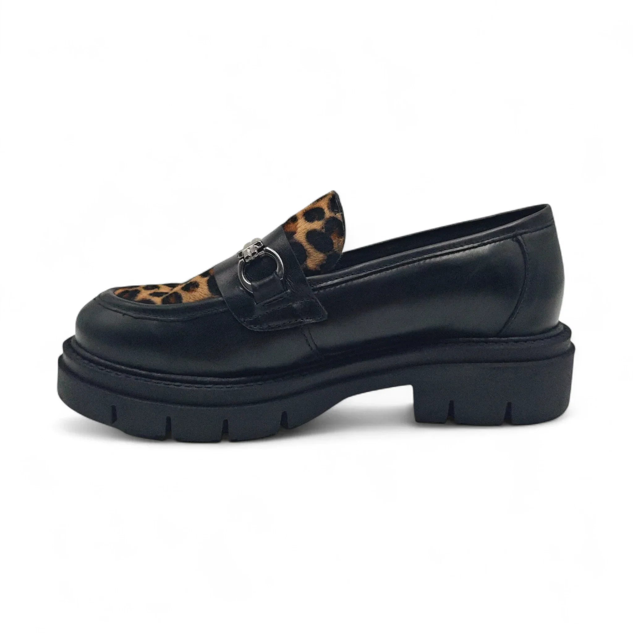 Florida 5902 crni leopard pogled levo