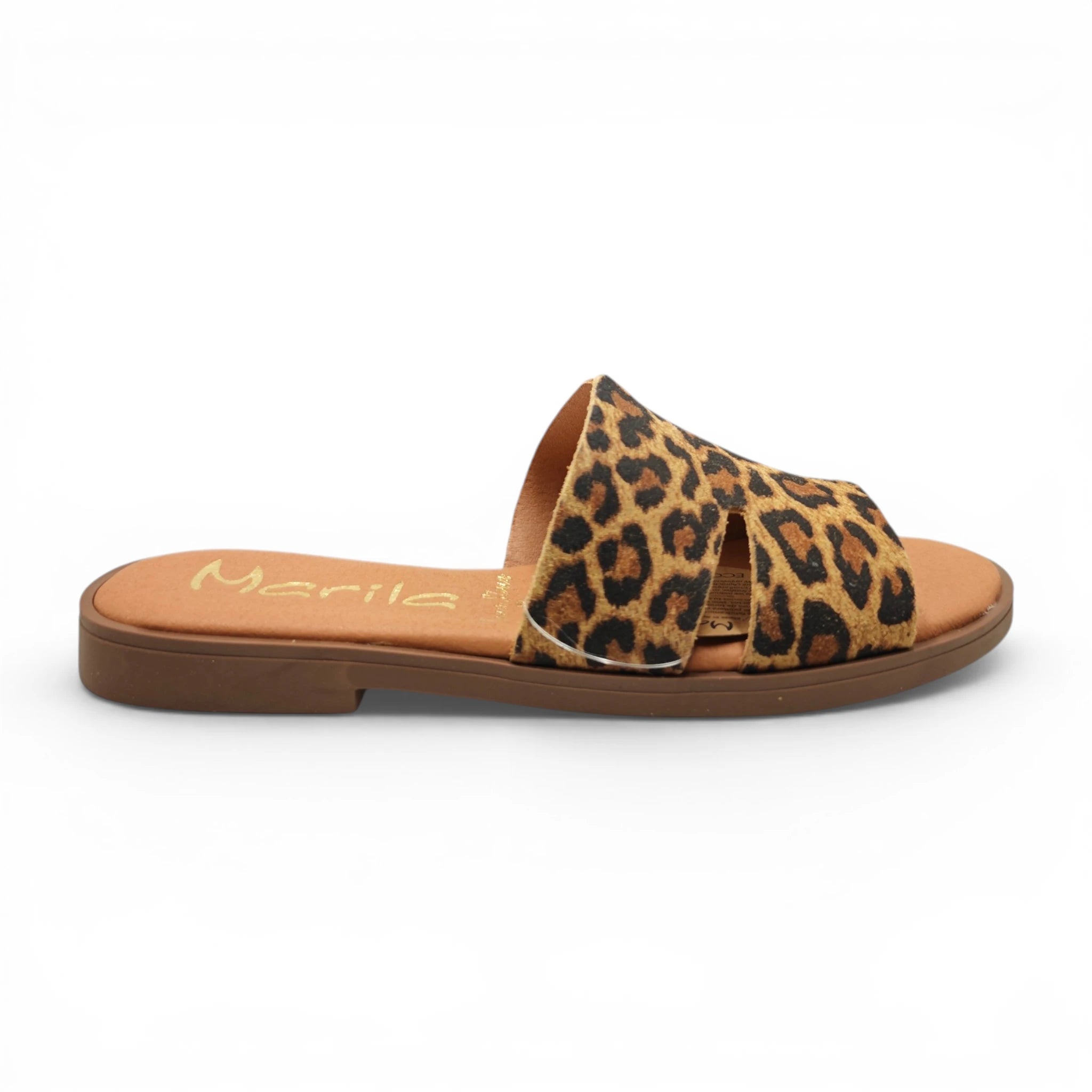 Marilla 93414 leopard pogled desno