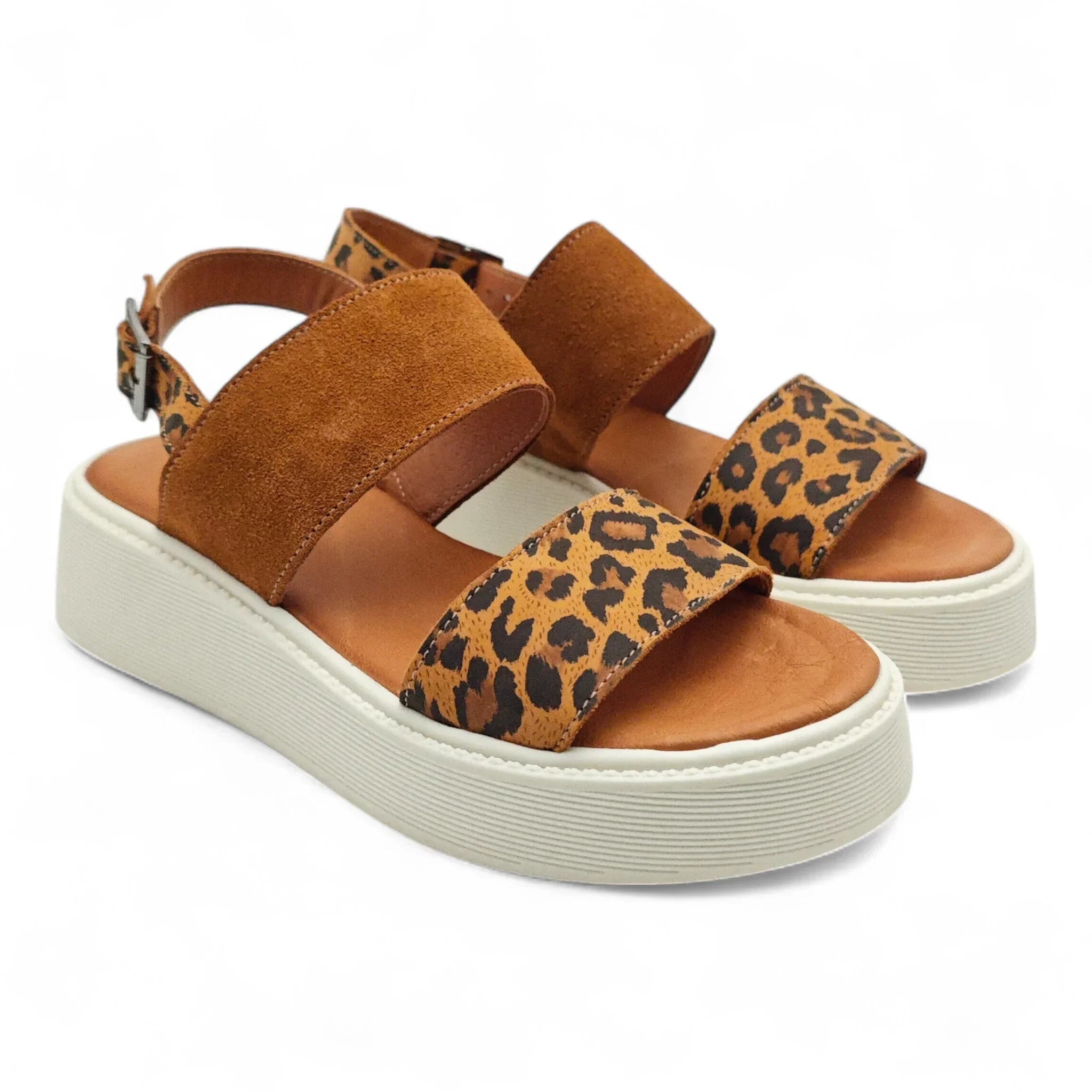 Una 7011714 smeđi leopard pogled spreda