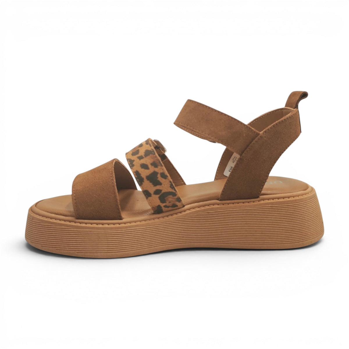 Una 7011721 smeđi leopard pogled levo