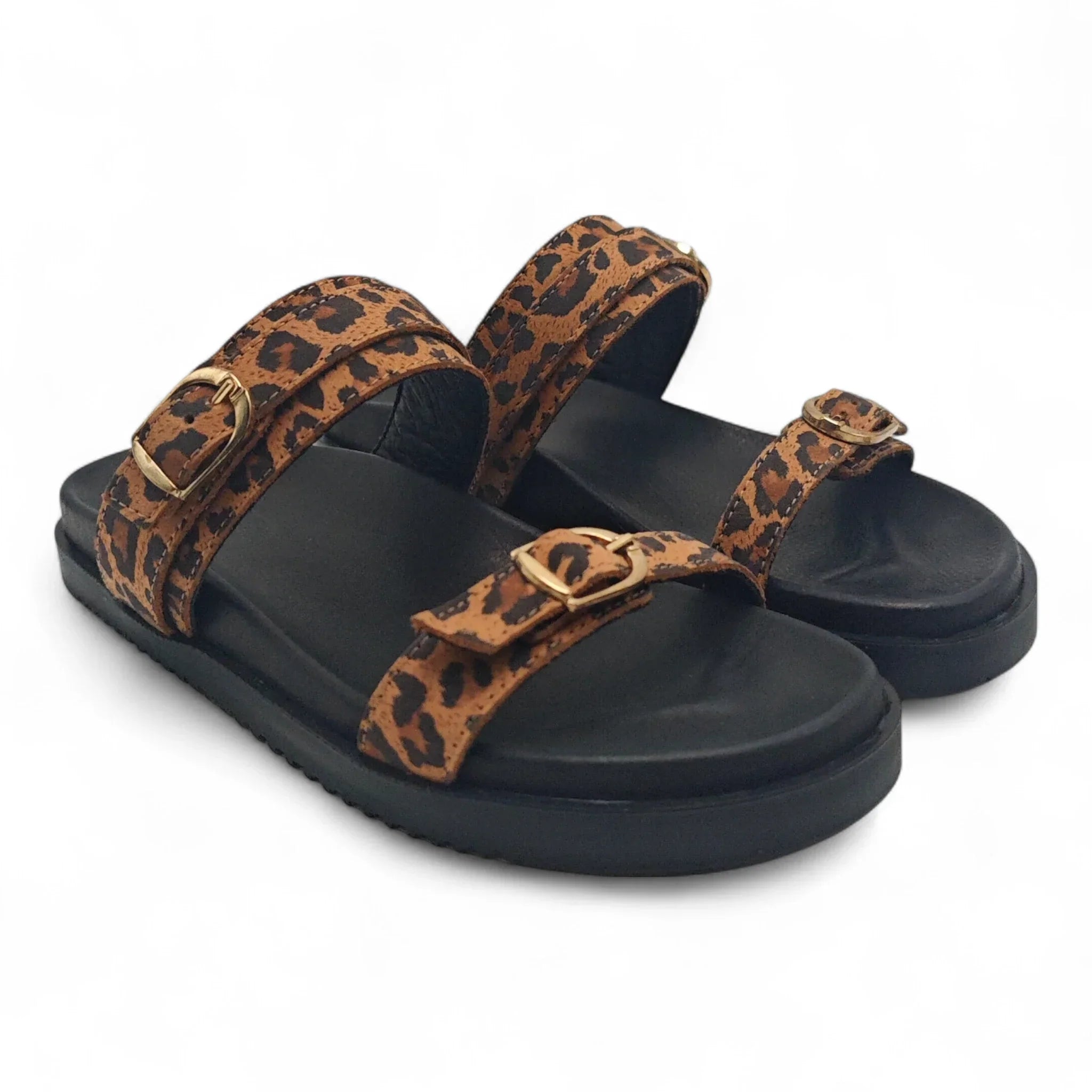Una 701249 smeđi leopard pogled spreda