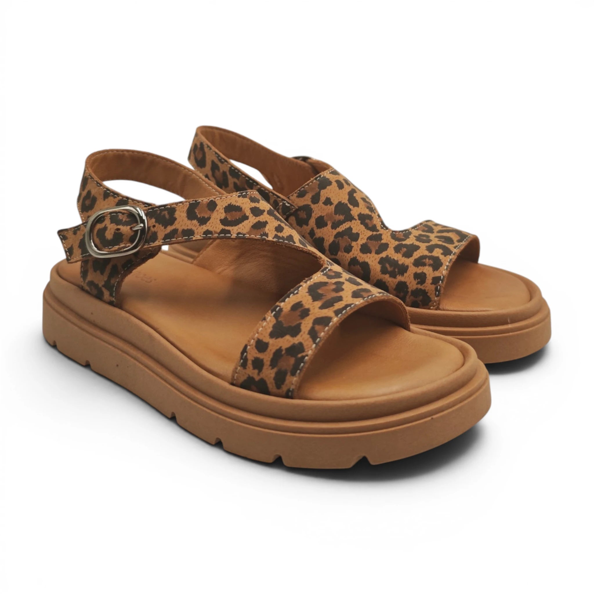 Una 7013611 leopard pogled spreda