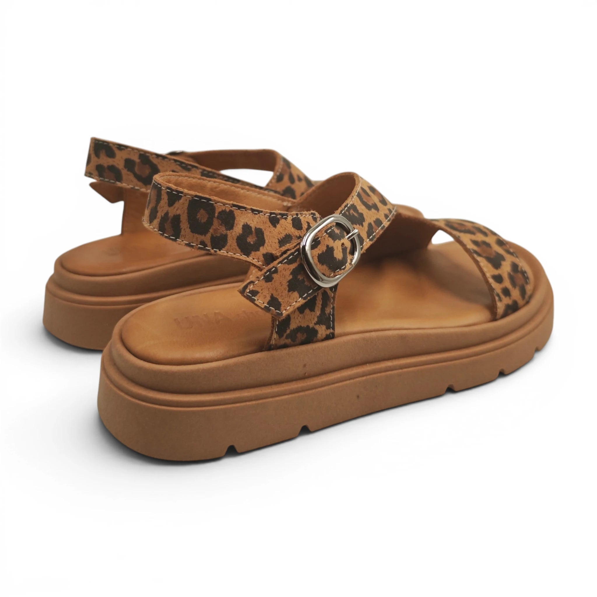 Una 7013611 leopard pogled straga